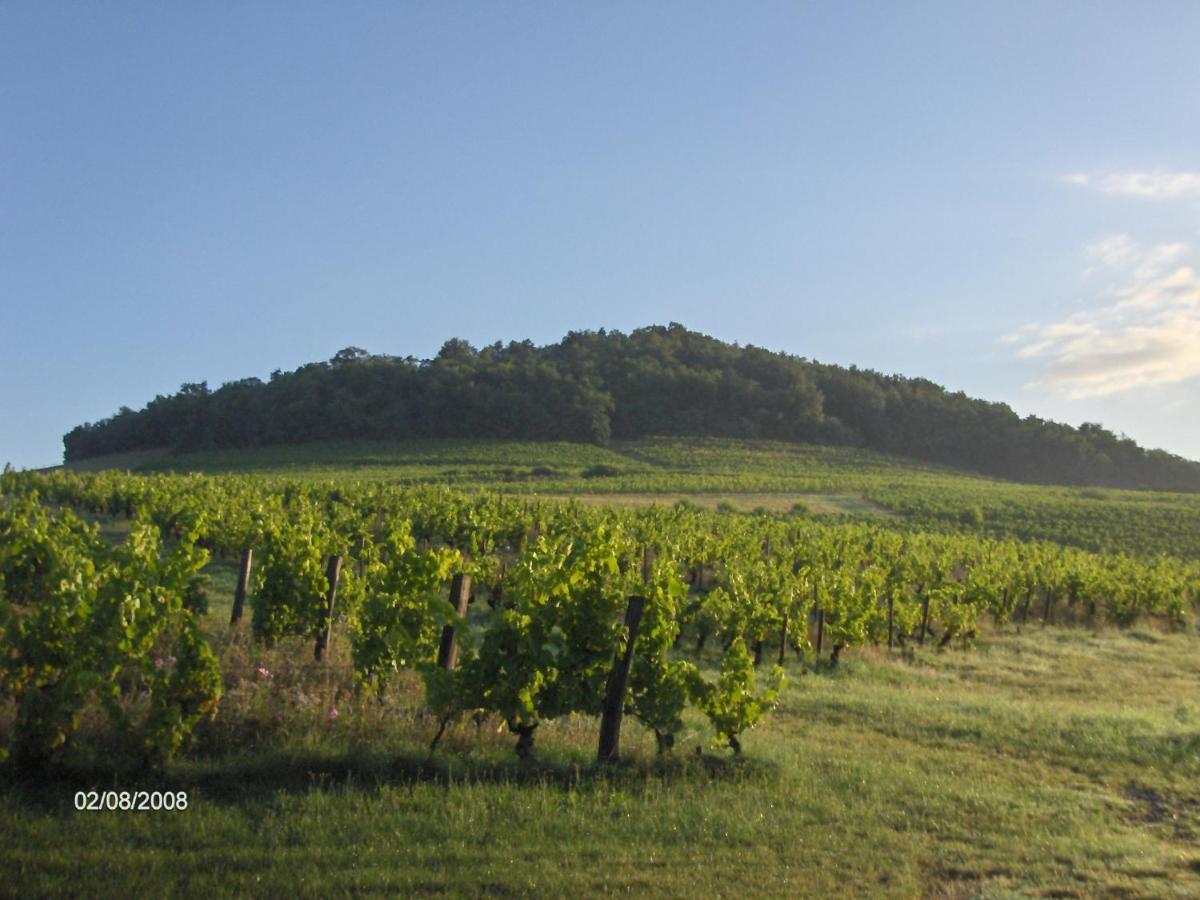 La Maison Du Vigneron Ternand Экстерьер фото